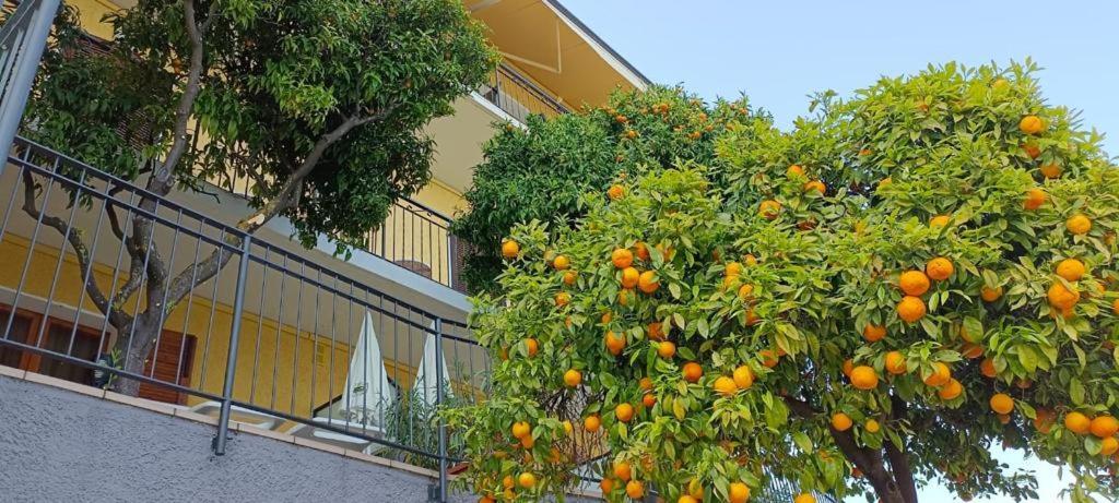 La Terrazzina
